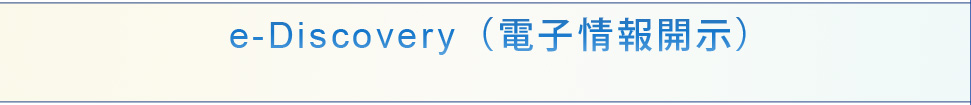 e-Discovery（電子情報開示）